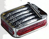 Sardines