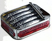 Sardines