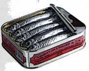 Sardines