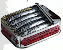 Sardines