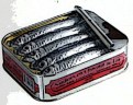 Sardines