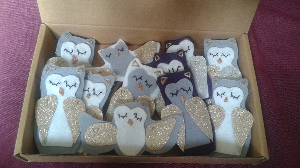 13900309_1627315467598512_8318030748489822785_n