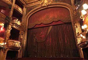 Renaissance-IMG_1545-CSpillemaecker