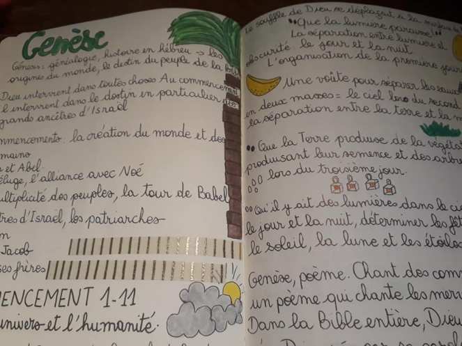 90204609_10156595621551652_1671666434847014912_n